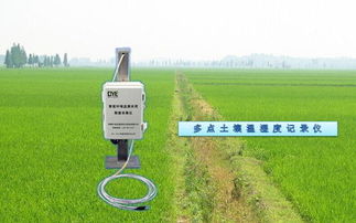 多点检测 准确记录的高科技产品 多点土壤温湿度记录仪